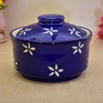 Kunhar Ceramic Donga with lid | Ceramic Bowl with lid - 450 ML, Blue Star